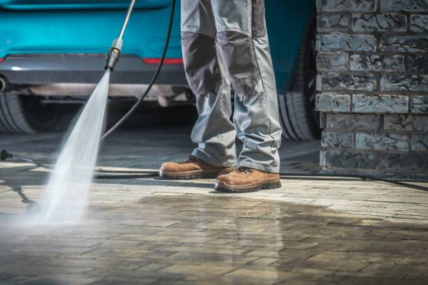 Best Winterizing Services  in Reading, PA
